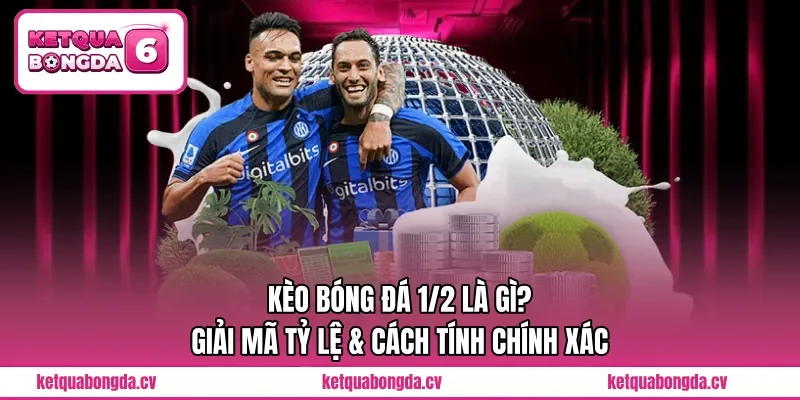 Kèo Bóng Đá 1/2 Là Gì? Giải Mã Tỷ Lệ & Cách Tính Chính Xác